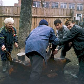People lifting a heavy metal object outdoors.