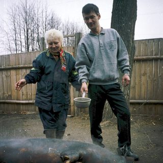 Two people skinning a large animal outdoors.