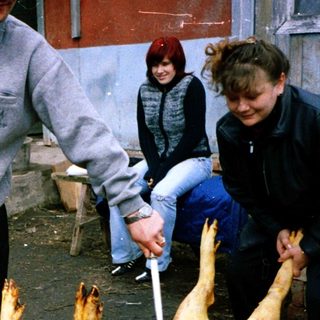 Butchering pig outdoors with people assisting.