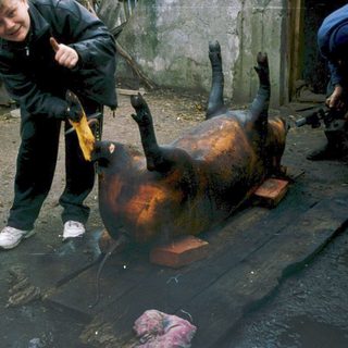 Butcher processing animal carcass with assistants nearby.