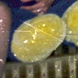 Four people sitting indoors during a bubble party.