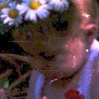 Child sitting in wicker basket surrounded by flowers.
