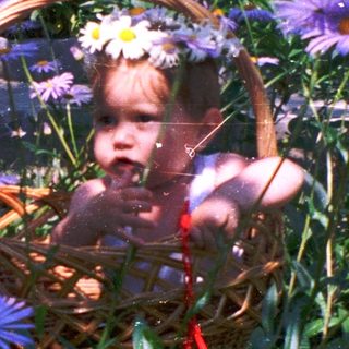 A child peeking out of a flower-filled basket surrounded by greenery.