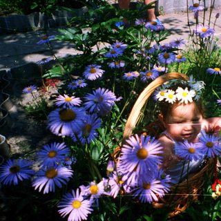 Child surrounded by flowers in woven basket.