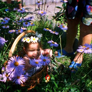Child surrounded by flowers in woven basket.