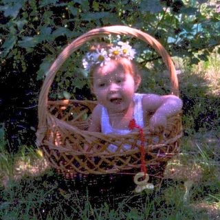 Baby sitting in a wicker basket outdoors.