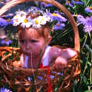 Child sitting in flower-filled basket surrounded by blooming flowers.