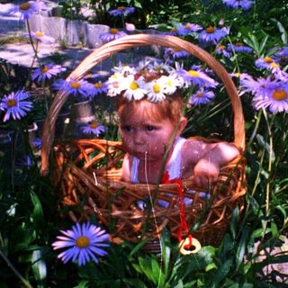 Child sitting in flower-filled basket surrounded by blooming flowers.