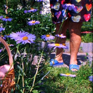 Baby in flower-wreathed basket surrounded by wildflowers.