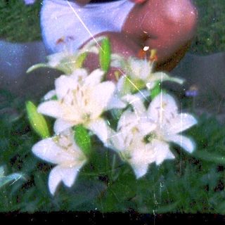 Woman and baby playing in shallow water surrounded by flowers.