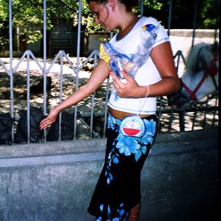 Person feeding animals through metal fence.