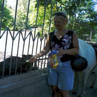 Woman feeding ducks by a water fountain.