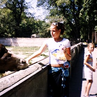 Woman feeding bear at zoo enclosure.
