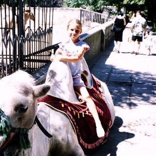 Young child riding decorated donkey outdoors.