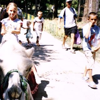 Children riding donkeys on a park path.