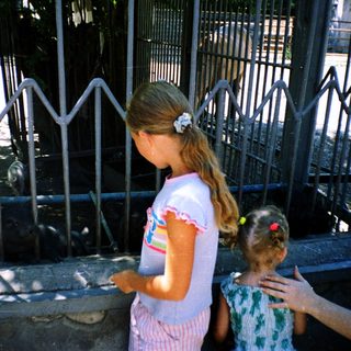 Two children drinking water through fence bars.