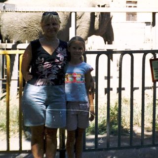 A woman and child standing near zoo elephants.