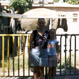 A woman and child standing near zoo elephants.