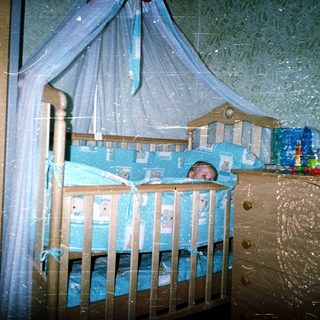 Baby sleeping in blue-themed crib with canopy.