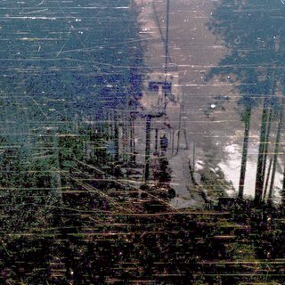 Aerial view of deforested and flooded forest area.