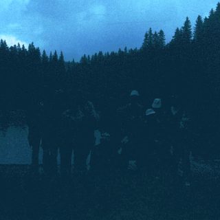 Dark forest under twilight or dawn sky.