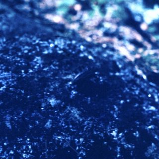 Dark volcanic or basalt surface with small white specks.