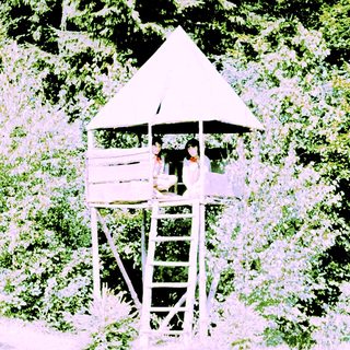 Elevated wooden observation tower in forested area.
