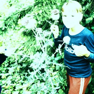 A child holding dandelions in a green outdoor setting.