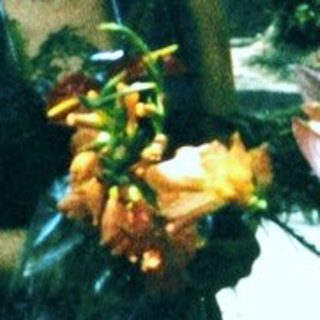 Person in black dress holding flowers outdoors.