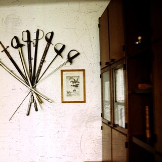 Scissors arranged in a fan display on wall.