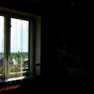 Dark room with window revealing outdoor greenery.