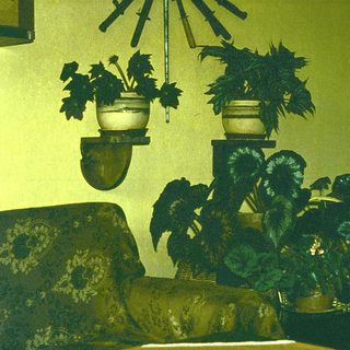 Vintage indoor decor with potted plants and ornate vases.