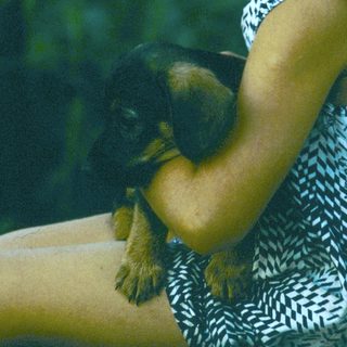 Young girl holding a small black kitten outdoors.