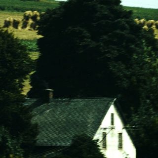 Rural pastoral scene with grazing sheep and farmhouse.