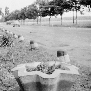 Rural roadside with concrete posts, trees, and grassy field.