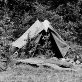 Campers preparing and gathering firewood in forest campsite.