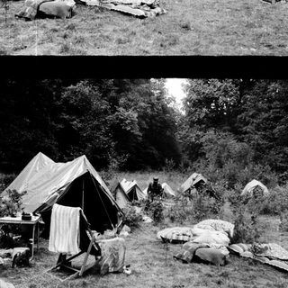 Campsite with tents and makeshift shelters in wooded area.