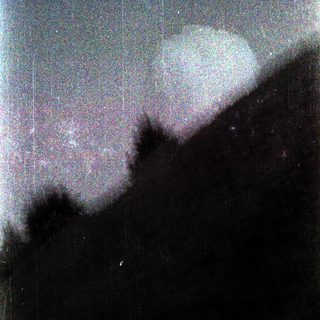 Moonlight through clouds and foliage.