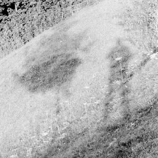 Ancient rock carving or petroglyph on stone.
