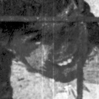 Poster through barred window depicting hockey player.