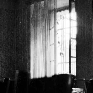 Sunlit room with open curtains revealing outdoor view.