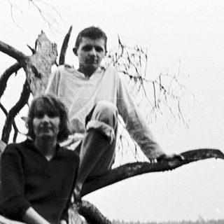 Three people sitting on a broken tree branch.