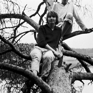 Three people sitting on a broken tree branch.