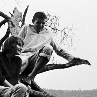 Two people sitting on tree branches near water.