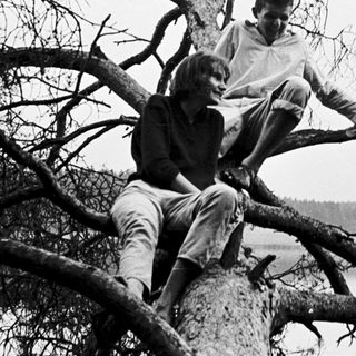 Two people sitting on tree branches near water.