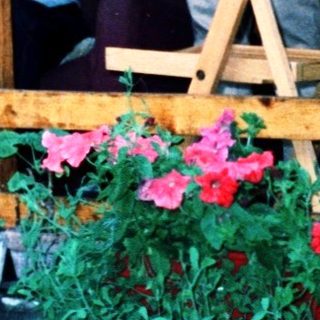 Family enjoying evening on a wooden balcony with plants.