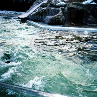 Turbulent water flowing over rocky structures.