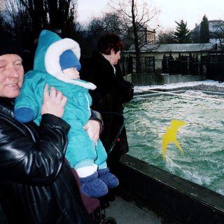 People watching a yellow penguin swimming in an indoor pool.
