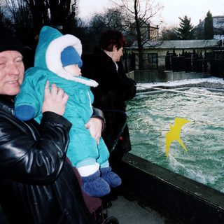 People watching a yellow penguin swimming in an indoor pool.