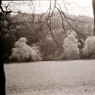 Snow-covered landscape with bare trees and house.